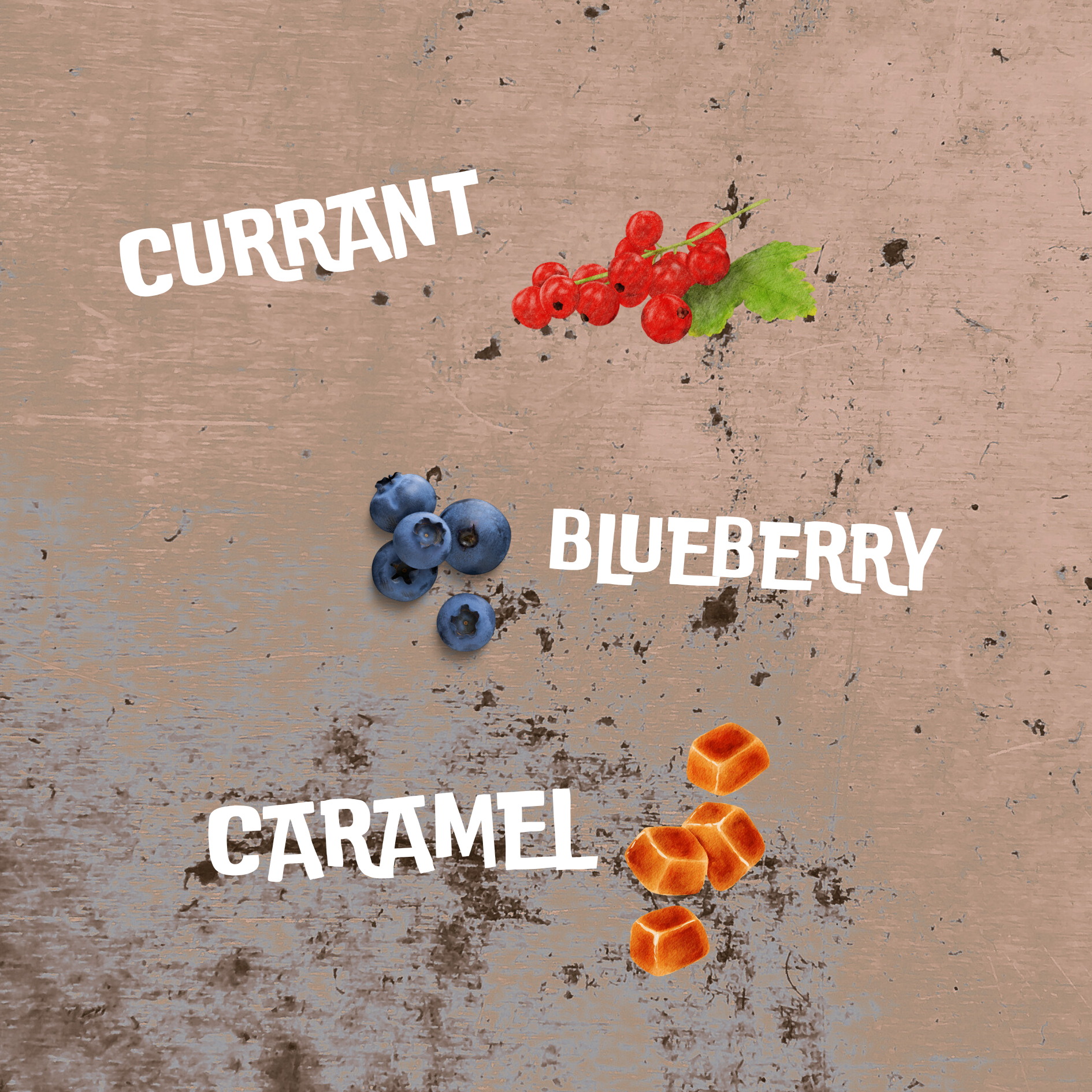 Illustration of flavor taste notes showing currant, blueberry, and caramel on a textured surface